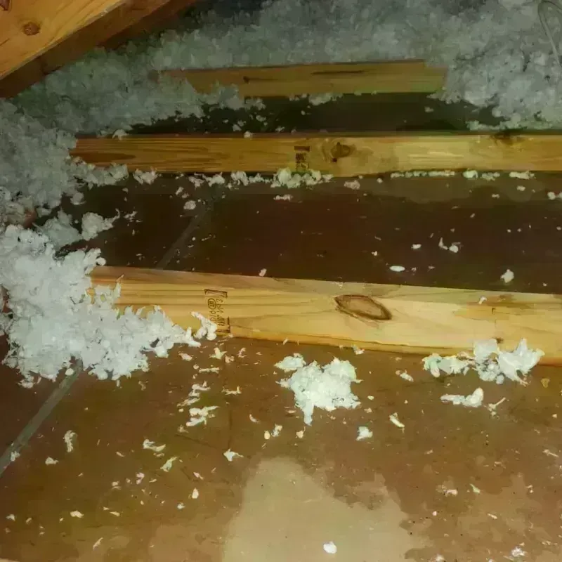 Attic Water Damage in Gilliam County, OR