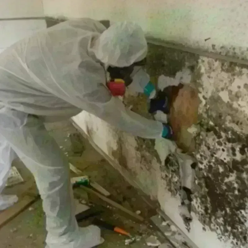 Mold Remediation and Removal in Gilliam County, OR