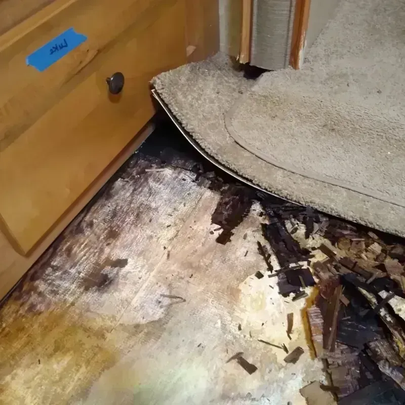 Wood Floor Water Damage in Gilliam County, OR